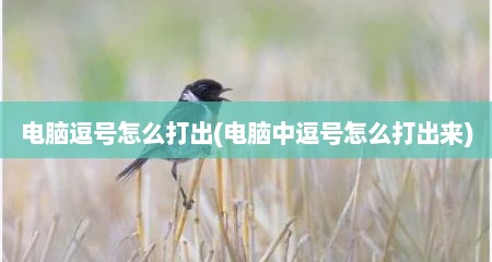 电脑逗号怎么打出(电脑中逗号怎么打出来)