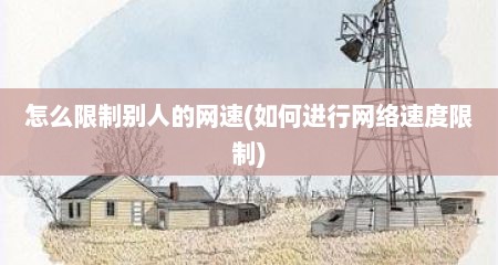 怎么限制别人的网速(如何进行网络速度限制)