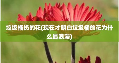 垃圾桶扔的花(现在才明白垃圾桶的花为什么最浪漫)