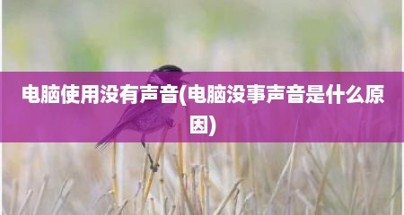 电脑使用没有声音(电脑没事声音是什么原因)