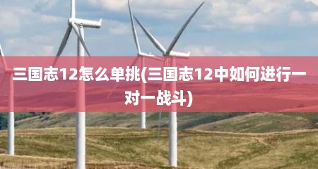 三国志12怎么单挑(三国志12中如何进行一对一战斗)