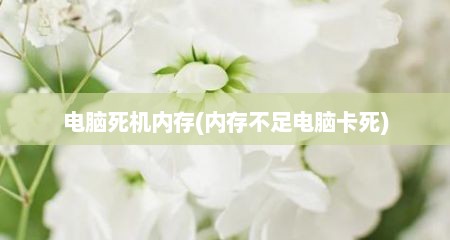 电脑死机内存(内存不足电脑卡死)