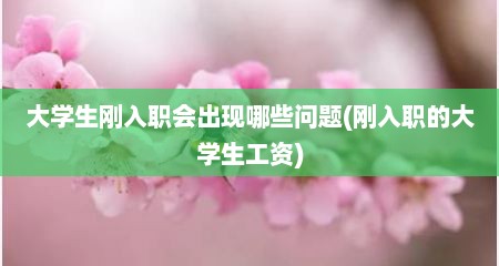 大学生刚入职会出现哪些问题(刚入职的大学生工资)