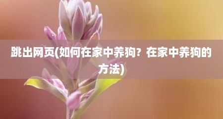 跳出网页(如何在家中养狗？在家中养狗的方法)