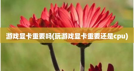 游戏显卡重要吗(玩游戏显卡重要还是cpu)