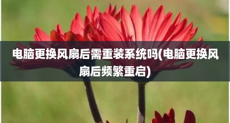 电脑更换风扇后需重装系统吗(电脑更换风扇后频繁重启)