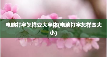 电脑打字怎样变大字体(电脑打字怎样变大小)