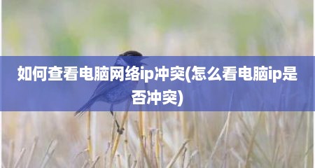 如何查看电脑网络ip冲突(怎么看电脑ip是否冲突)