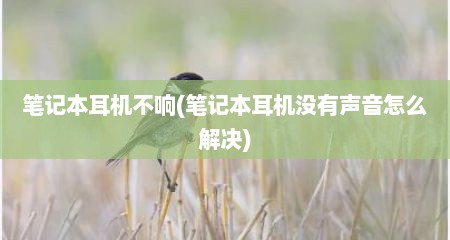 笔记本耳机不响(笔记本耳机没有声音怎么解决)