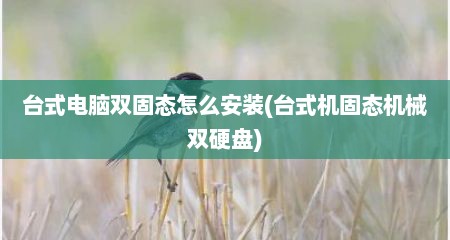 台式电脑双固态怎么安装(台式机固态机械双硬盘)