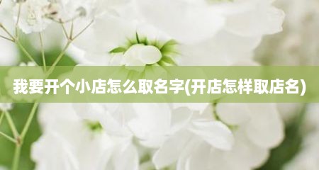 我要开个小店怎么取名字(开店怎样取店名)