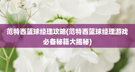 范特西篮球经理攻略(范特西篮球经理游戏必备秘籍大揭秘)