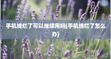 手机线烂了可以继续用吗(手机线烂了怎么办)