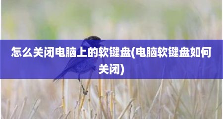 怎么关闭电脑上的软键盘(电脑软键盘如何关闭)