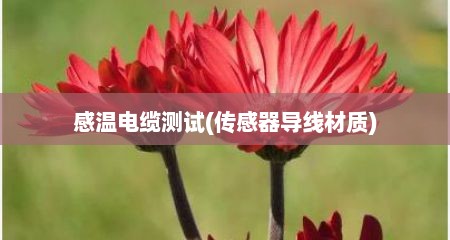 感温电缆测试(传感器导线材质)