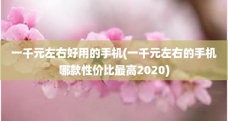 一千元左右好用的手机(一千元左右的手机哪款性价比最高2020)