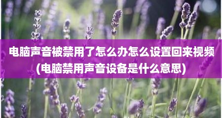 电脑声音被禁用了怎么办怎么设置回来视频(电脑禁用声音设备是什么意思)