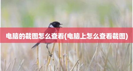 电脑的截图怎么查看(电脑上怎么查看截图)