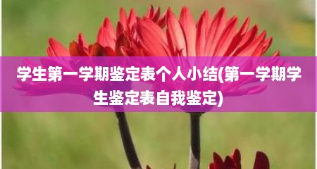 学生第一学期鉴定表个人小结(第一学期学生鉴定表自我鉴定)