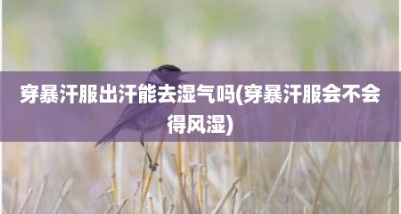 穿暴汗服出汗能去湿气吗(穿暴汗服会不会得风湿)