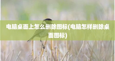 电脑桌面上怎么删除图标(电脑怎样删除桌面图标)