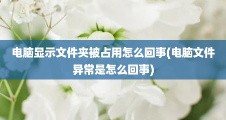 电脑显示文件夹被占用怎么回事(电脑文件异常是怎么回事)