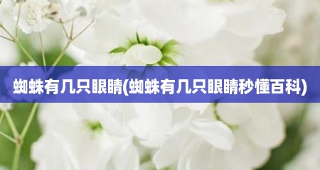 蜘蛛有几只眼睛(蜘蛛有几只眼睛秒懂百科)