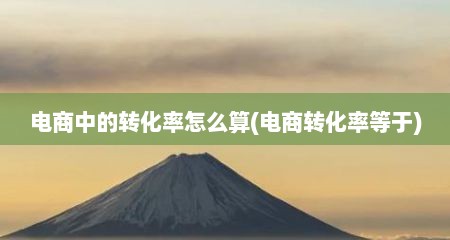 电商中的转化率怎么算(电商转化率等于)