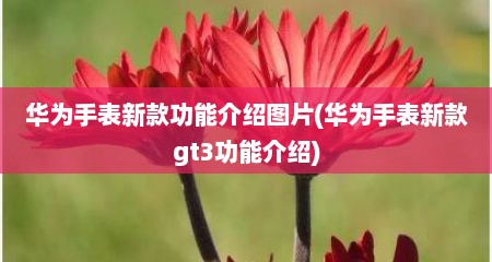 华为手表新款功能介绍图片(华为手表新款gt3功能介绍)