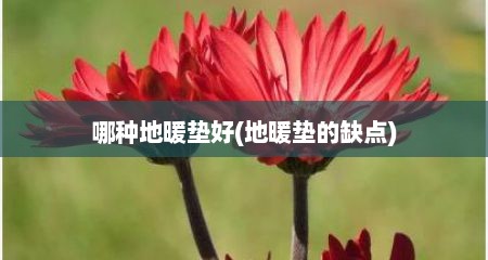 哪种地暖垫好(地暖垫的缺点)