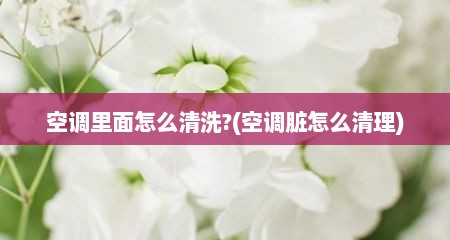 空调里面怎么清洗?(空调脏怎么清理)