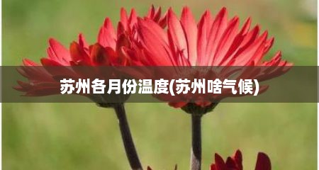 苏州各月份温度(苏州啥气候)