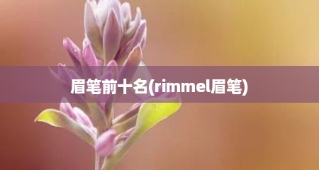 眉笔前十名(rimmel眉笔)