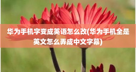 华为手机字变成英语怎么改(华为手机全是英文怎么弄成中文字幕)