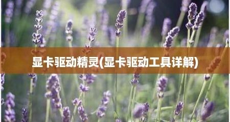 显卡驱动精灵(显卡驱动工具详解)