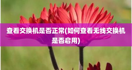 查看交换机是否正常(如何查看无线交换机是否启用)