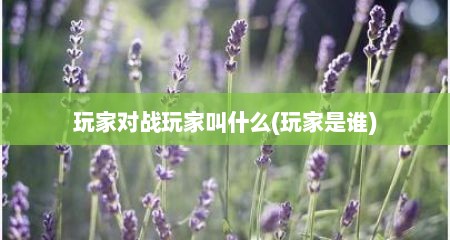 玩家对战玩家叫什么(玩家是谁)