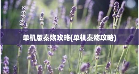 单机版秦殇攻略(单机秦殇攻略)