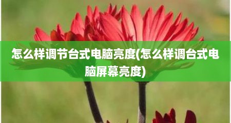 怎么样调节台式电脑亮度(怎么样调台式电脑屏幕亮度)