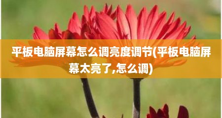 平板电脑屏幕怎么调亮度调节(平板电脑屏幕太亮了,怎么调)