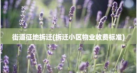 街道征地拆迁(拆迁小区物业收费标准)