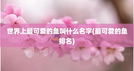 世界上最可爱的鱼叫什么名字(最可爱的鱼排名)