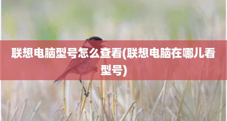 联想电脑型号怎么查看(联想电脑在哪儿看型号)