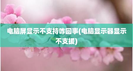 电脑屏显示不支持咋回事(电脑显示器显示不支援)