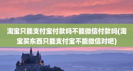 淘宝只能支付宝付款吗不能微信付款吗(淘宝买东西只能支付宝不能微信对吧)