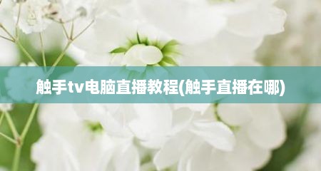 触手tv电脑直播教程(触手直播在哪)