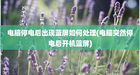 电脑停电后出现蓝屏如何处理(电脑突然停电后开机蓝屏)