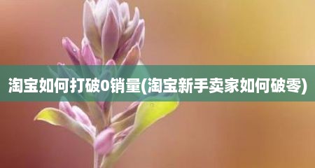 淘宝如何打破0销量(淘宝新手卖家如何破零)