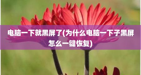 电脑一下就黑屏了(为什么电脑一下子黑屏怎么一键恢复)