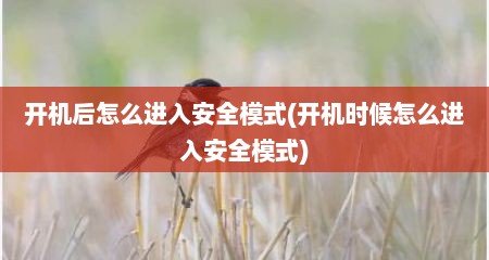 开机后怎么进入安全模式(开机时候怎么进入安全模式)